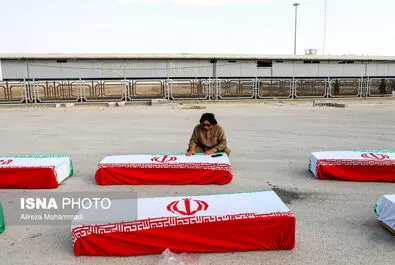 شهید