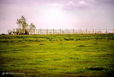 میانکاله