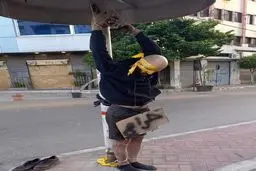 عاقبت دزدی از محله‌های تخلیه شده جنوب بیروت