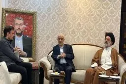 معاون پزشکیان به دیدار خانواده شهید امیرعبداللهیان رفت؛ جزئیات دو برنامه مهم در هفته بزرگداشت شهدای خدمت