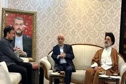 معاون پزشکیان به دیدار خانواده شهید امیرعبداللهیان رفت؛ جزئیات دو برنامه مهم در هفته بزرگداشت شهدای خدمت