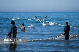 تصاویر ایران زیباست؛ هفته مازندران
