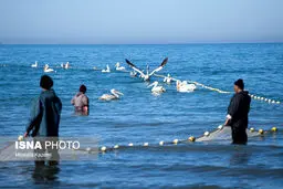 تصاویر ایران زیباست؛ هفته مازندران