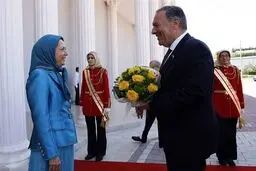 مانیفست بی‌وطنی