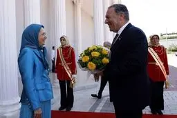 مانیفست بی‌وطنی