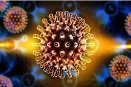 کرونای دلتا در کمین کودکان چاق