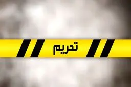 تحریم‌های انگلیس به مدیرعامل متروی تهران رسید