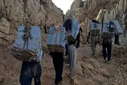 تصویب نهایی ساماندهی کولبری در هیئت دولت
