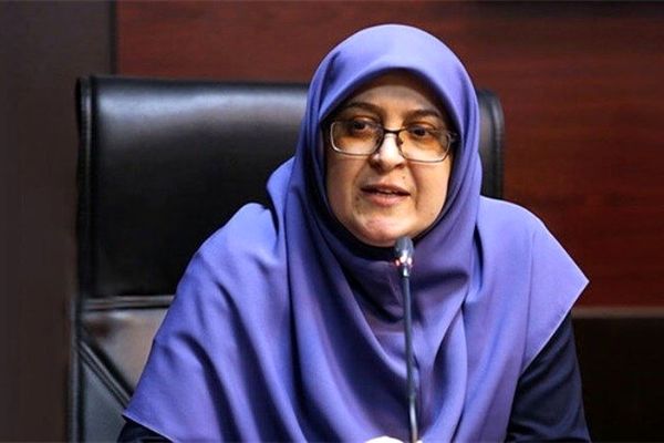 مهاجرانی مطرح کرد: دعوت از شرکت‌های آفریقایی برای همکاری با ایران