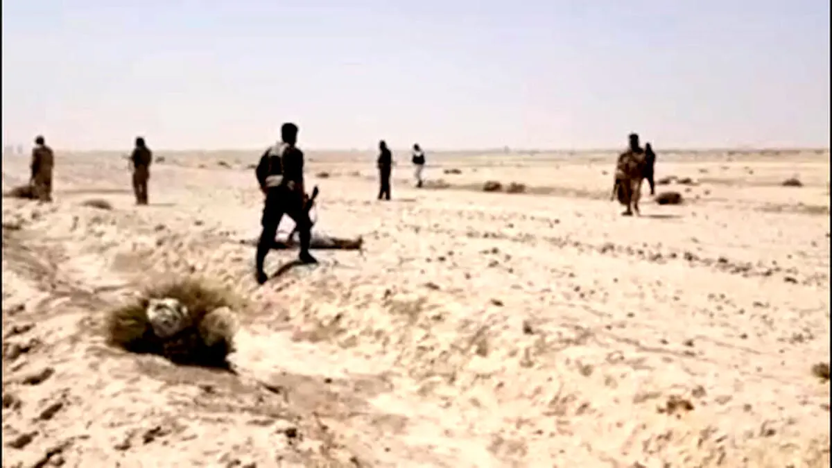 جولان تروریست‌ها در سیستان‌‌و‌بلوچستان؛ درگیری بالا گرفت
