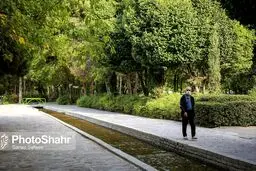 خبر مهم برای بازنشستگان تامین اجتماعی | بیمه تکمیلی رایگان شد؟
