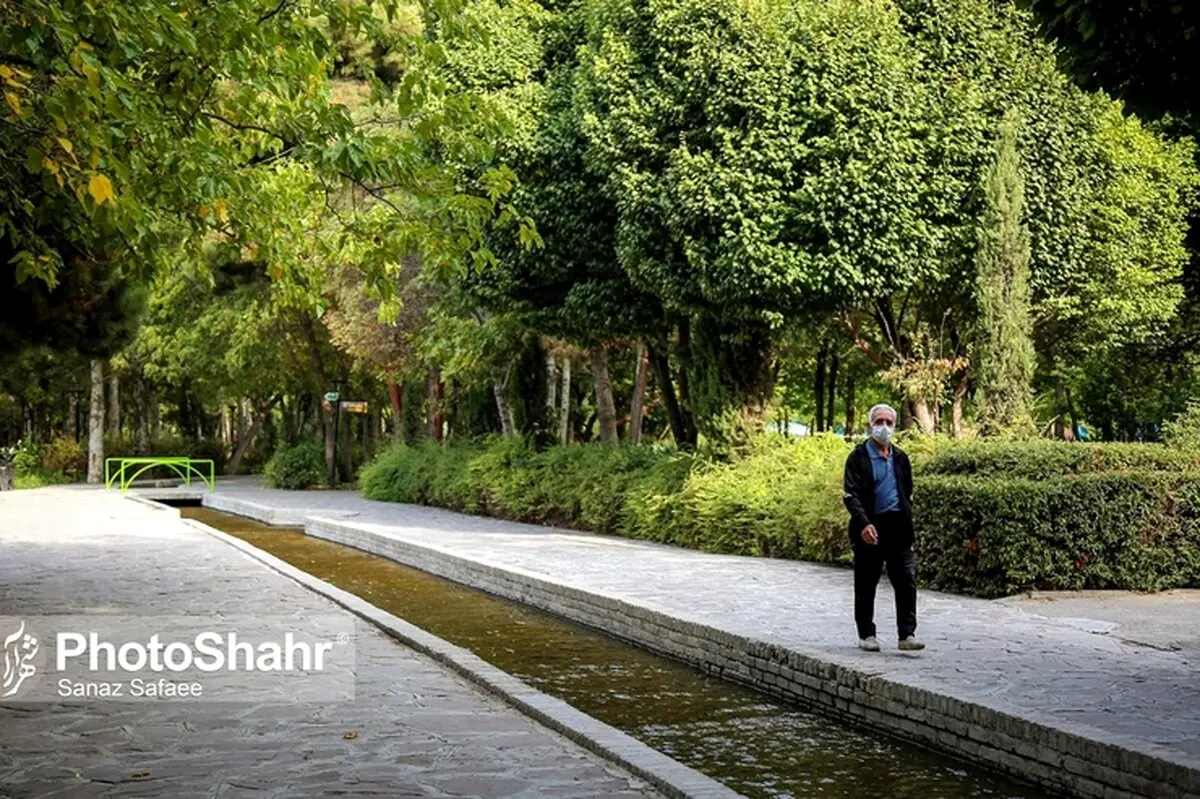 زمان ورشکستگی تامین اجتماعی مشخص شد
