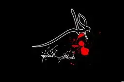 شهادت مولا علی (ع) ؛ آسایشگاه انوار آفتاب