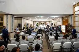 تصاویر محراب ۸۰۰ ساله حرم امیرالمؤمنین(ع)