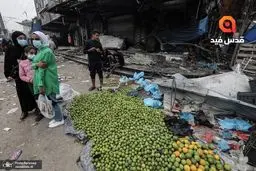 حامیان فلسطین مسیرهای فرودگاه‌های نیویورک و لس‌آنجلس را بستند

