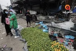 حامیان فلسطین مسیرهای فرودگاه‌های نیویورک و لس‌آنجلس را بستند

