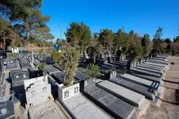 سورپرایز دولت برای تهرانی‌ها؛ هر تهرانی یک قبر رایگان!
