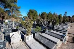 سورپرایز دولت برای تهرانی‌ها؛ هر تهرانی یک قبر رایگان!