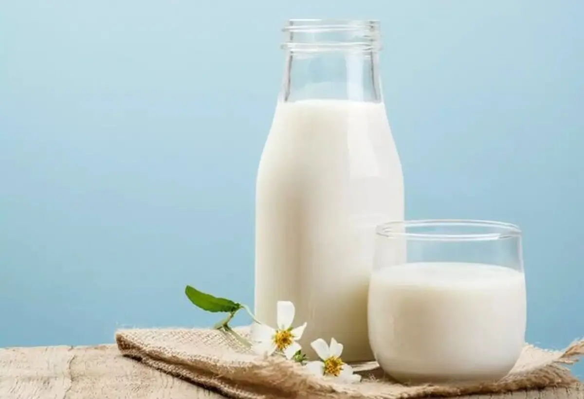 چاق ها بخوانند: کاهش ۲ برابری وزن با مصرف شیر