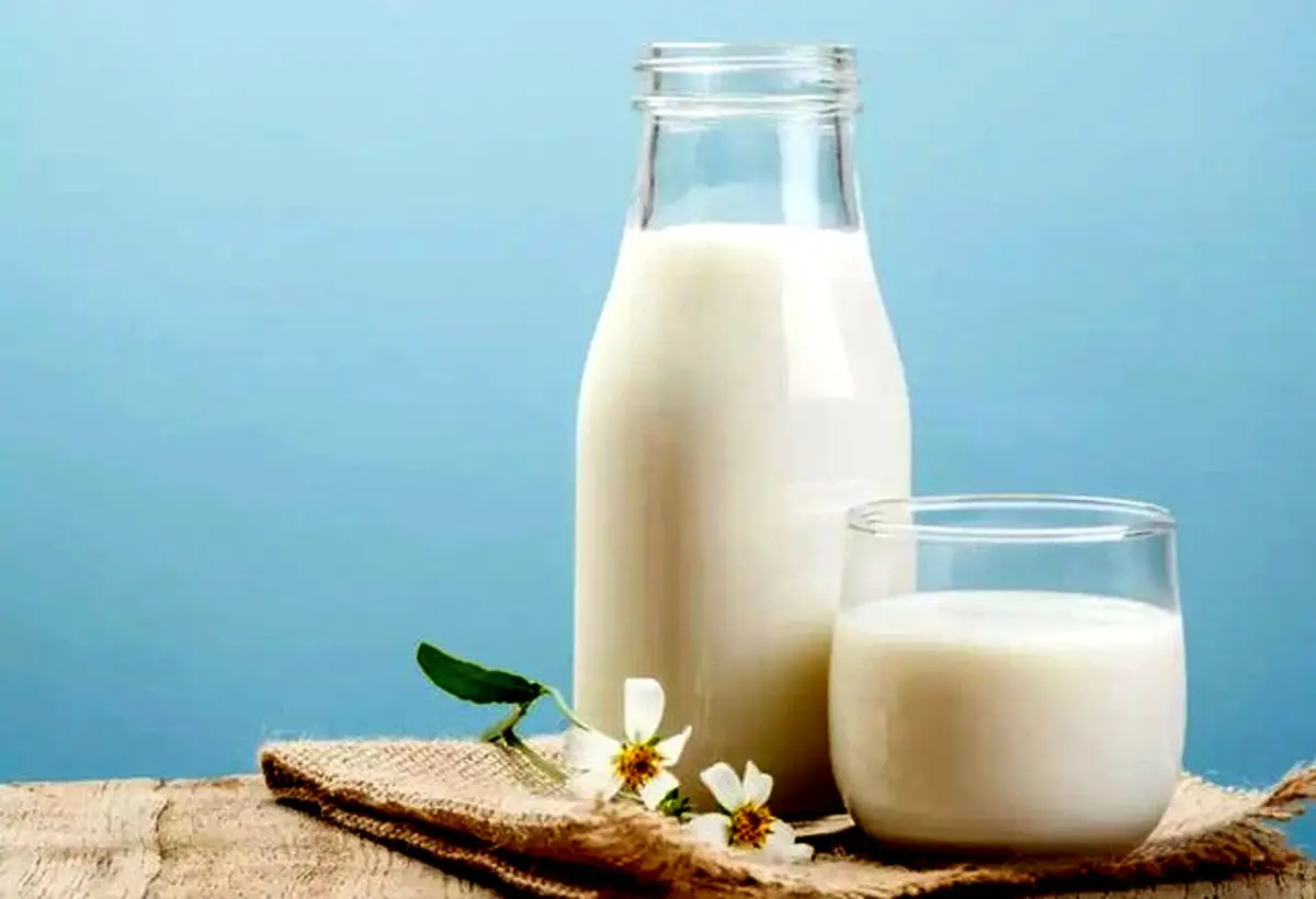 چاق ها بخوانند: کاهش ۲ برابری وزن با مصرف شیر