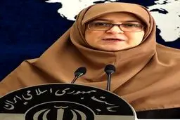 مهاجرانی: ایران میز مذاکره را ترک نخواهد کرد
