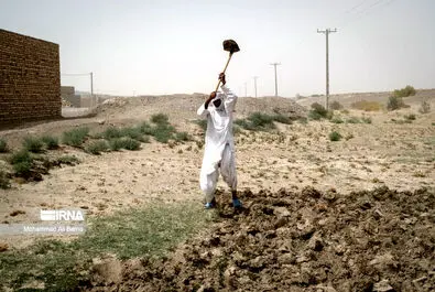 خشکسالی هامون