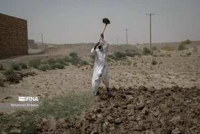 خشکسالی هامون
