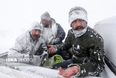 یخبندان