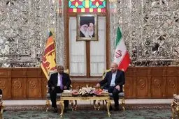 دیدار روسای مجالس ایران و سریلانکا