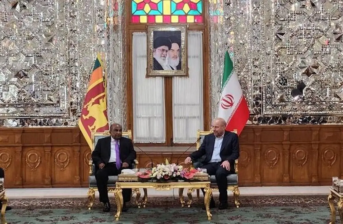دیدار روسای مجالس ایران و سریلانکا