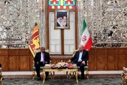 دیدار روسای مجالس ایران و سریلانکا