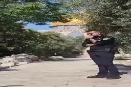 حمله صهیونیست ها با همراهی وزیر تندرو به مسجد الاقصی