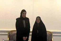 جزئیات دیدار معاون رئیسی با وزیر خانواده قطر در نیویورک