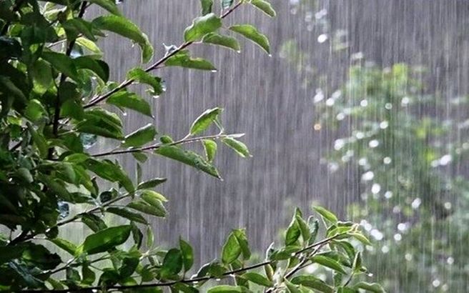 تداوم رگبار پراکنده و وزش باد در کشور/ بارندگی در این استان‌ها

