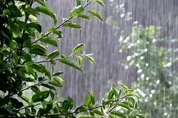 تداوم رگبار پراکنده و وزش باد در کشور/ بارندگی در این استان‌ها

