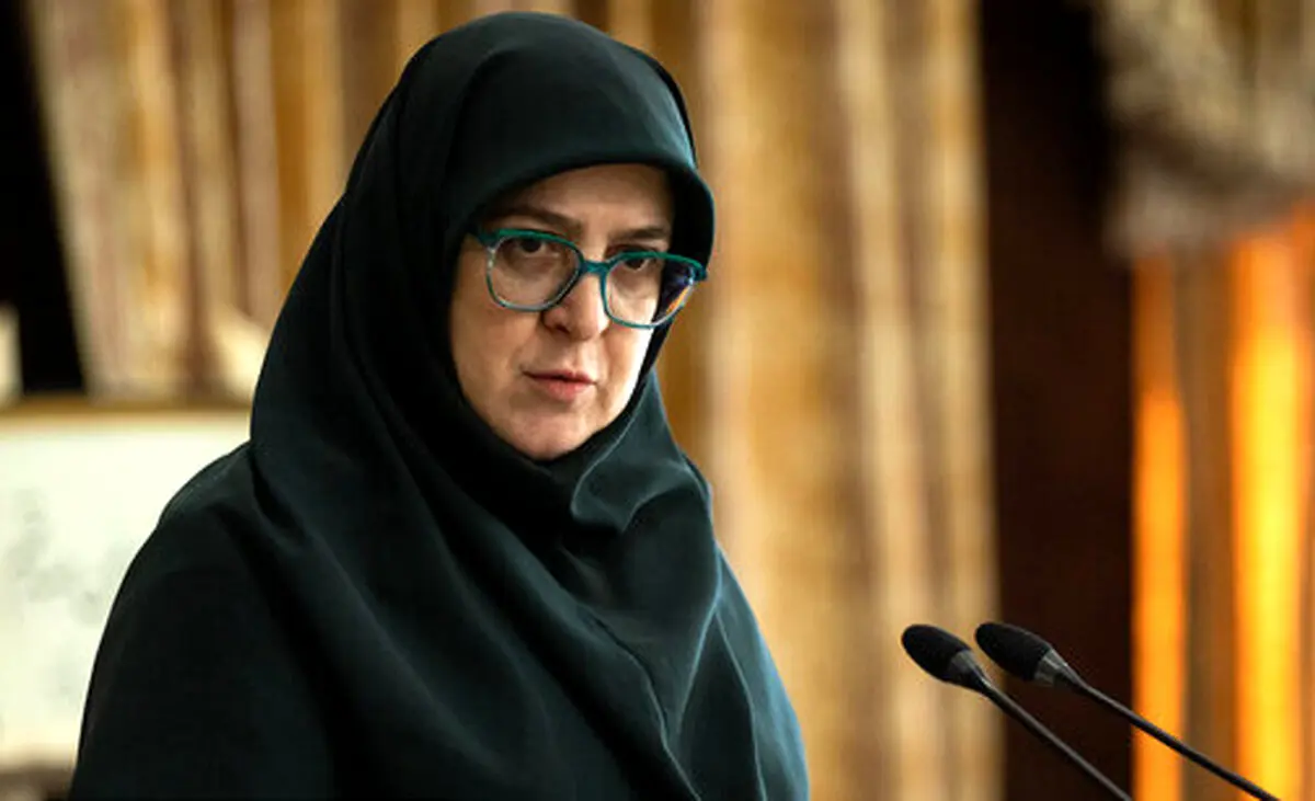 مهاجرانی: نباید جان بخشی از جامعه با جانشان هزینه تولید برق را پرداخت کنند