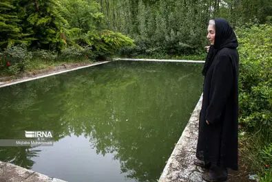 پروانه معصومی