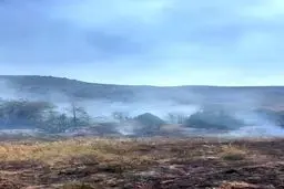 آتش‌سوزی گسترده در پارک ملی گلستان