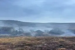 آتش‌سوزی گسترده در پارک ملی گلستان