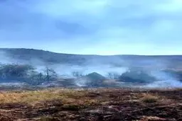 آتش‌سوزی گسترده در پارک ملی گلستان