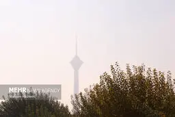 وزش باد همراه با خیزش گرد و خاک در پایتخت