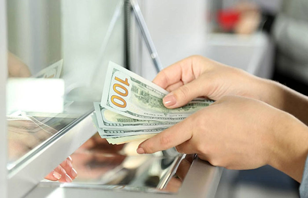 شوک بزرگ وزیر سابق اقتصاد به خریداران دلار | متتظر سقوط سنگین قیمت دلار باشید!