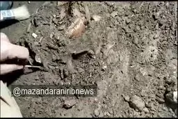 اسکلت کودک ۱۲ هزار ساله در یک غار بهشهر
