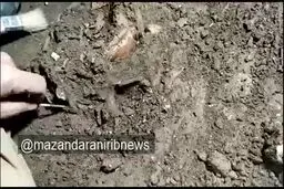 اسکلت کودک ۱۲ هزار ساله در یک غار بهشهر