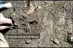 اسکلت کودک ۱۲ هزار ساله در یک غار بهشهر