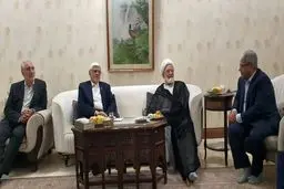 درخواست مهدی کروبی در دیدار با عارف + عکس