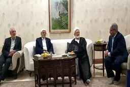 درخواست مهدی کروبی در دیدار با عارف + عکس