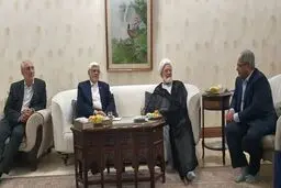 درخواست مهدی کروبی در دیدار با عارف + عکس
