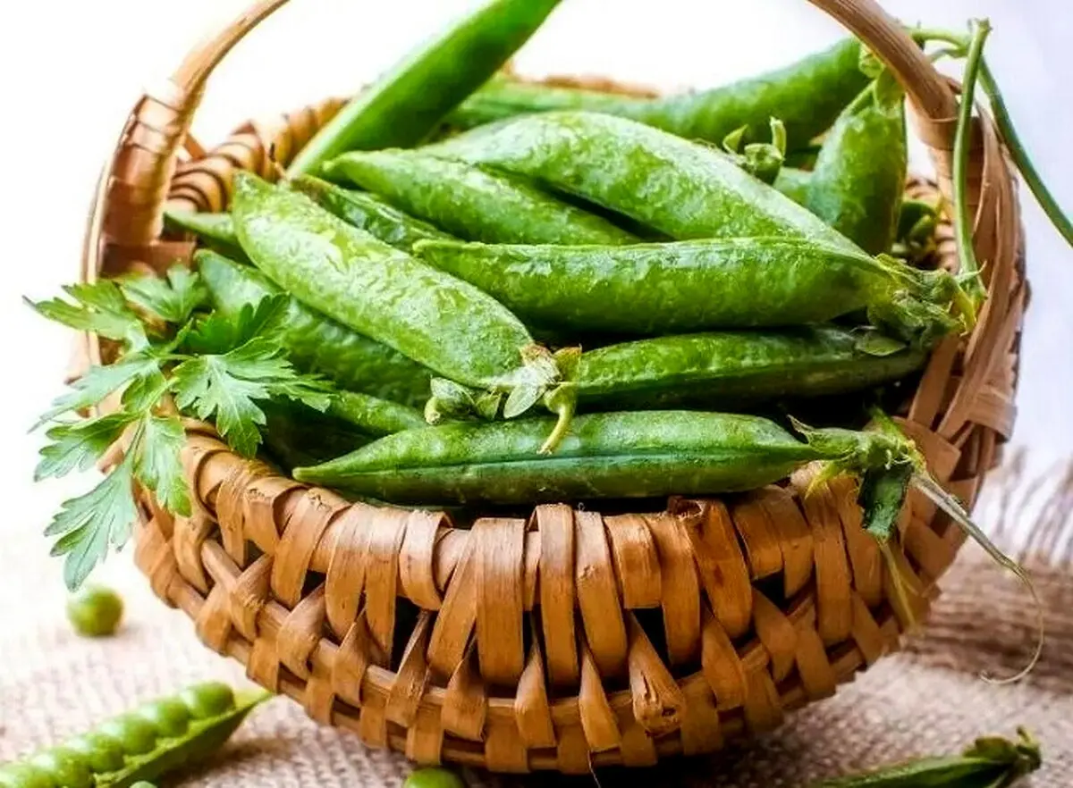 رژیم غذایی مناسب فصل بهار؛ ۱۰ خوراکی بعلاوه روش مصرف