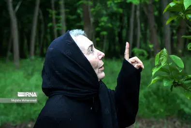 پروانه معصومی